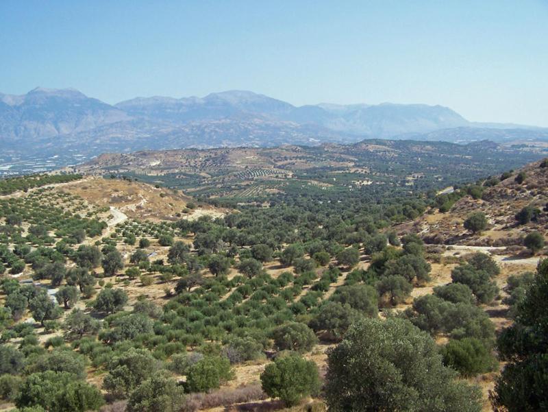 Villas Alexandros Kalamaki  Rum bild